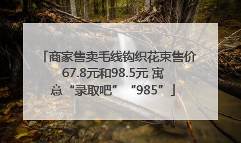 商家售卖毛线钩织花束售价67.8元和98.5元 寓意“录取吧”“985”